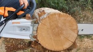 Stihl MS 881 & Stihl MS 150C (Biggest Stihl "versus" smallest Stihl) !!!