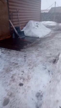 Первый зимний дождь