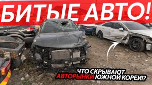 БИТЬЕ ИЗ ЮЖНОЙ КОРЕИ🔥СТОИТ ЛИ ПОКУПАТЬ⁉️ОБРАТНАЯ СТОРОНА АВТОРЫНКОВ😱ТАКОГО ВЫ ЕЩЕ ТОЧНО НЕ ВИДЕЛИ