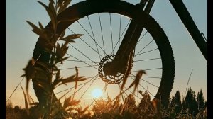 А Вознесенский  Живите не в пространстве, а во времени #философскаялирика   #поэты20века