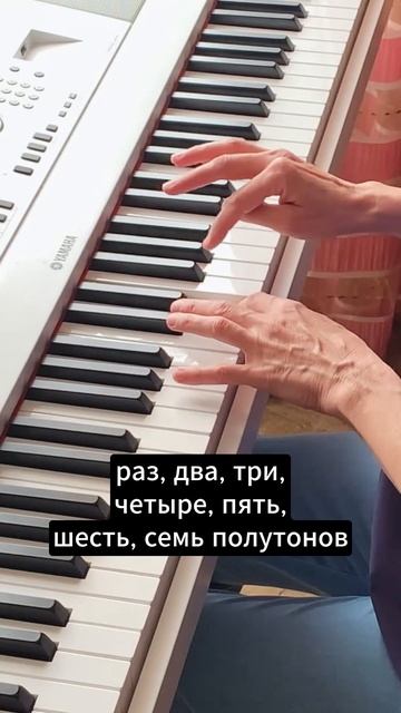Что такое квинта