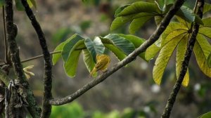 12634238-uhd_3840_2160_30fps