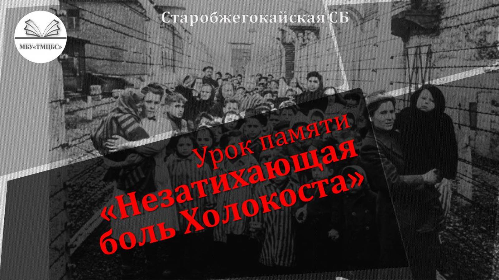 22 января 2025 г. Урок памяти «Незатихающая боль Холокоста». Старобжегокайская СБ