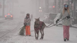 Пальмы в снегу: в Новом Орлеане бушует зимний шторм