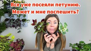 Не спешите сеять эти цветы на рассаду. Что нужно для крепкой, быстрорастущей рассады