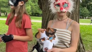 КВАДРОБЕРЫ ОТВЕЧАЮТ НА ВОПРОСЫ /буллинг в школе?/