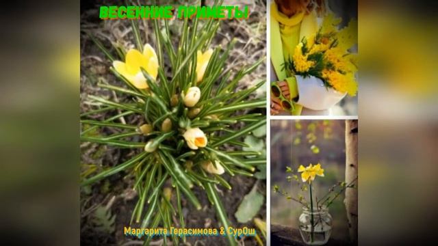 ВЕСЕННИЕ ПРИМЕТЫ (Маргарита Герасимова & студия "ПОРА") смотреть онлайн