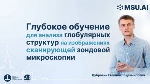 Глубокое обучение для анализа глобулярных структур на изображениях сканирующей зондовой микроскопии