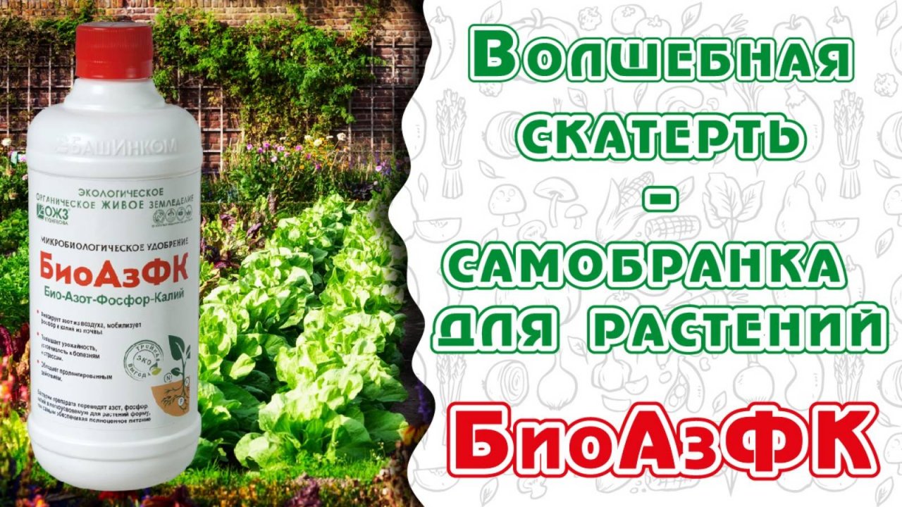 Азота в воздухе 80%,Фосфора и Калия в почве – на 150лет! Радость садовода БиоАзФК умеет их добывать.