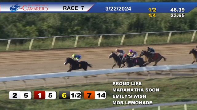 CARRERA 7 - 22/MARZO/2024 (EMILY’S WISH) смотреть онлайн