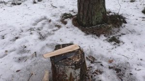 Нож BELUGA FIXED Petrified Fish. Уличный тест