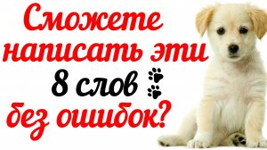 СМОЖЕТЕ НАПИСАТЬ ЭТИ 8 СЛОВ БЕЗ ОШИБОК? ПОПРОБУЙТЕ НЕ ОШИБИТЬСЯ🧡💛💚