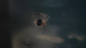 Нужен ли антикор для Geely Monjaro (Xingyue L)  - решать вам!