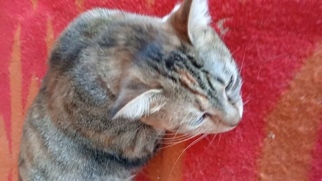 Девочки ❤️