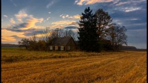 Генрикас Радаускас  Собачьи пересуды #литовскаялирика #стихиородине