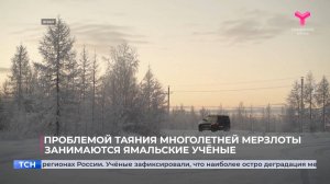 Проблемой таяния многолетней мерзлоты занимаются ямальские учёные