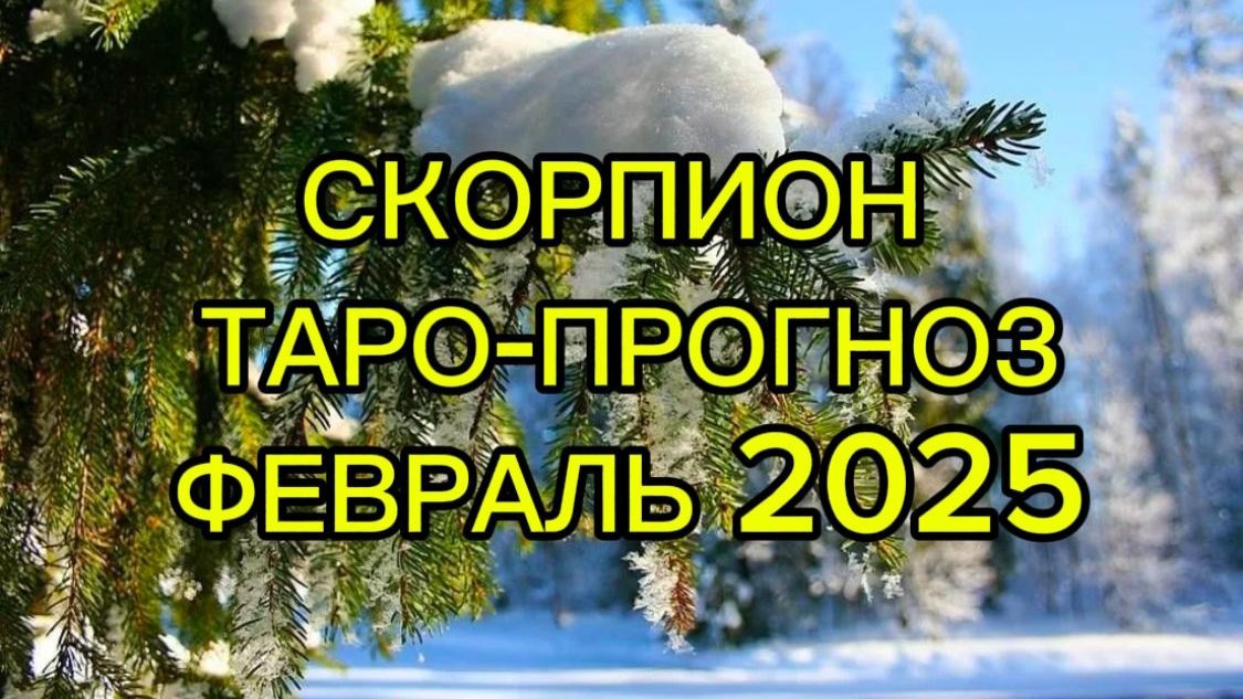 СКОРПИОН/ТАРО-ПРОГНОЗ/ФЕВРАЛЬ 2025