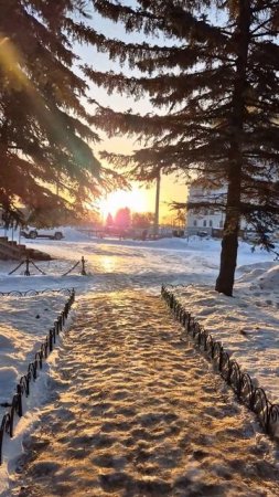 Когда светит солнце 🌞, всегда хорошо.