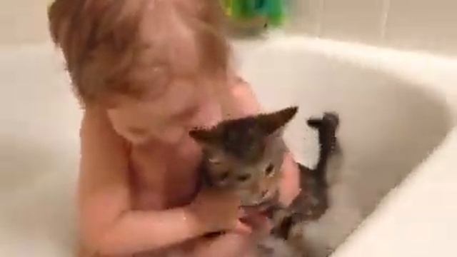 A young girl pulls a cat into a bath tub and bathes it смотреть онлайн