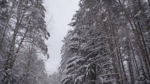 6613019-hd_1920_1080_25fps