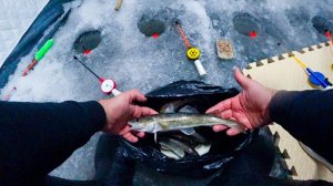 РЫБА КЛЮЁТ НА ВСЕ УДОЧКИ | Зимняя рыбалка в тёплой палатке.