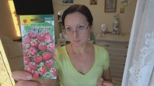 Январь 2025 года. Урожай хранится.Тыкву в измельчитель. За земляникой. НИКОГДА не сею по луне...