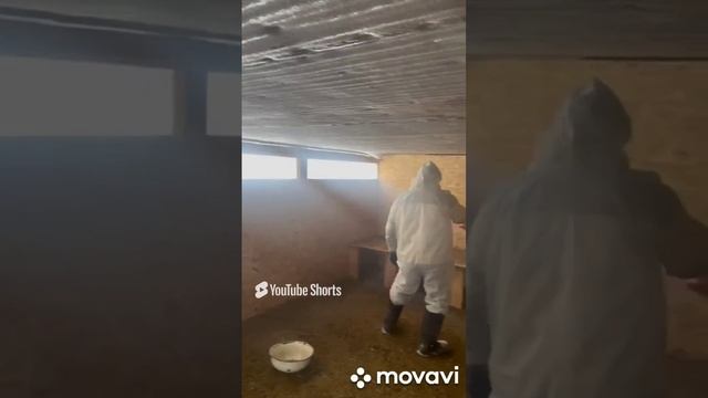 Обработка против заразного узелкового дерматита. смотреть онлайн