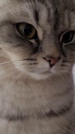 За окошком свету мало 😾