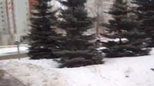 Камера Prestigio Muze V3 LTE. Тест съемки