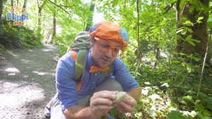 Blippi Visits the Ocean | Blippi | Cars, Trucks & Vehicles Cartoon | Moonbug Kids