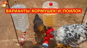 Куриные кормушки поилки варианты (5)