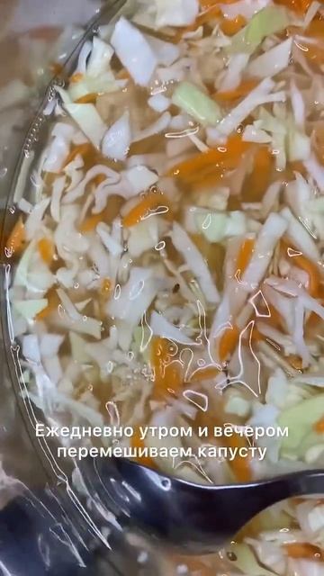 Квашенная (ферментированная) капуста. Простой и быстрый способ. Подойдет веганам и в пост.