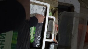 развёл червей дома в ящиках