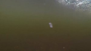 Ловля хариуса в Тверской области