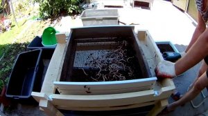 Действующий макет вибростола для отсева торфа, червя, коконов.