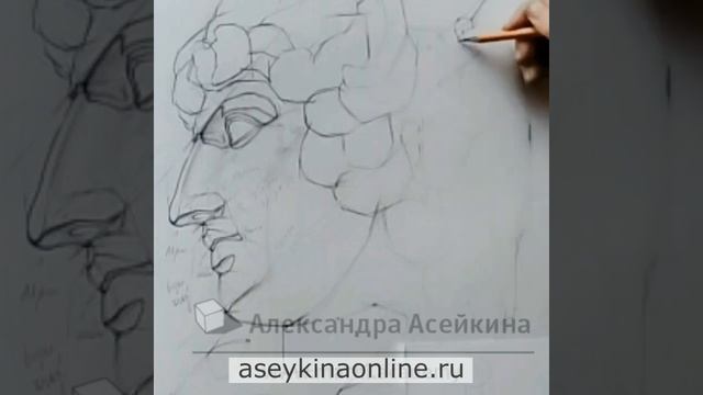 Академический рисунок как рисовать нос