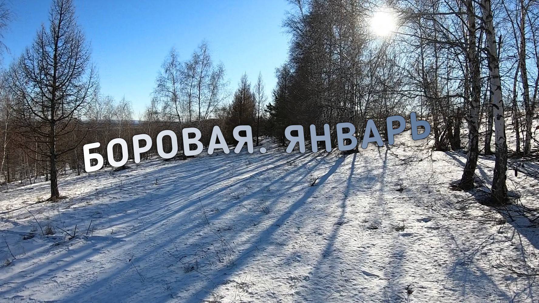 Боровая, январь