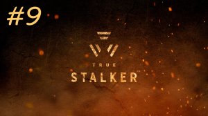 [PC] True Stalker | Прохождение | #9