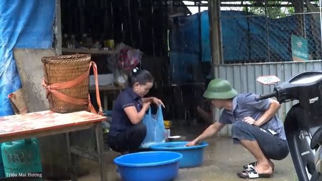 Meet a giant school of fish on a rainy day. Harvesting and sell - Cooking alone | Trieu Mai Huong