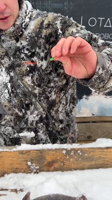 Призовая форель! #fishing #рыбалканафорель#форель#форельнаспиннинг#fish