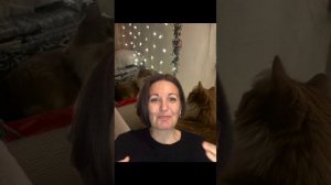 Поговорим. Как северные люди одеваются на юге