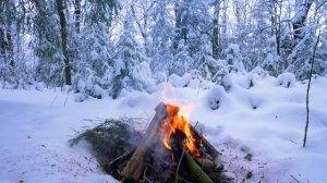 Звуки потрескивания огня и горящих поленьев в зимнем лесу