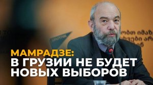 “Грузинская мечта” не допустит досрочных парламентских выборов - политолог