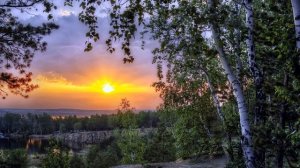 Б  Пастернак  Красавица моя #стихиолюбви #поэтысеребряноговека