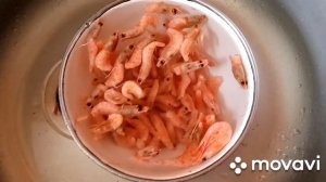 Дискусы и криветки