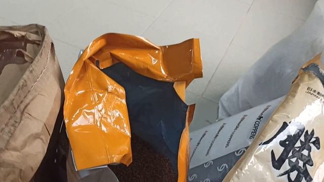 Дискусы из Апшеронска в гостях у Александра Ромащенко. Город Майский.