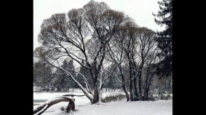 А Пушкин В тот год осенняя погода Из романа Евгений Онегин #стихиозиме #поэты19века