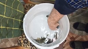 Какой я был наивный.