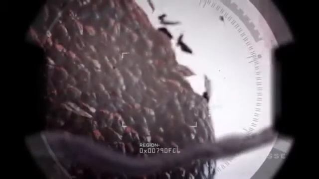 Возьми Ключ к продлению Молодости! смотреть онлайн