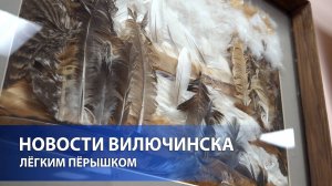 Лёгким пёрышком: персональная выставка Софии Крюковой